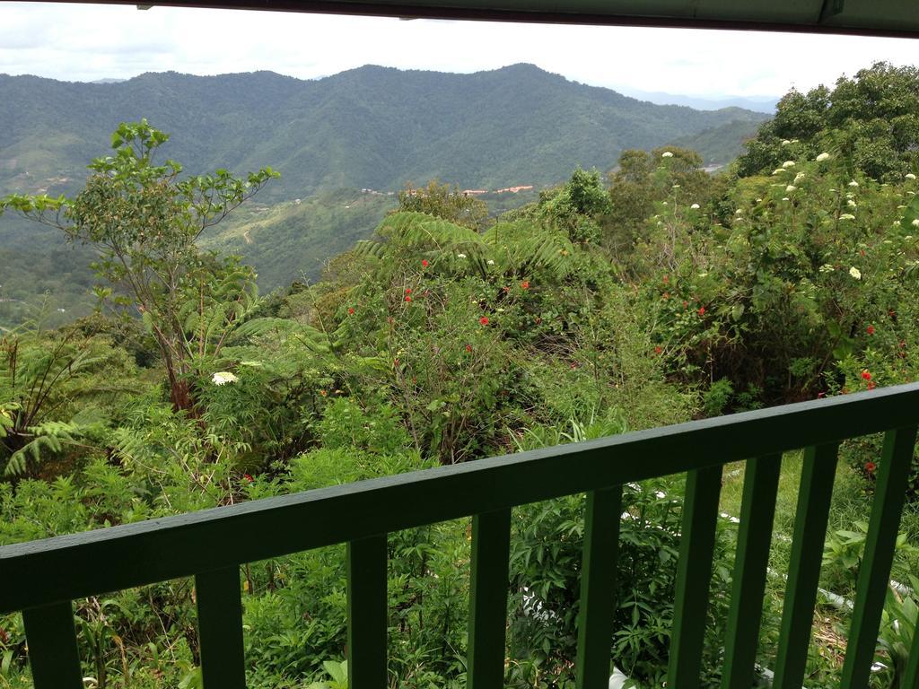 D'Villa Rina Ria Lodge, Kinabalu Park, Kundasang Bundu Tuhan 외부 사진