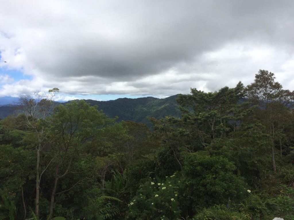 D'Villa Rina Ria Lodge, Kinabalu Park, Kundasang Bundu Tuhan 외부 사진