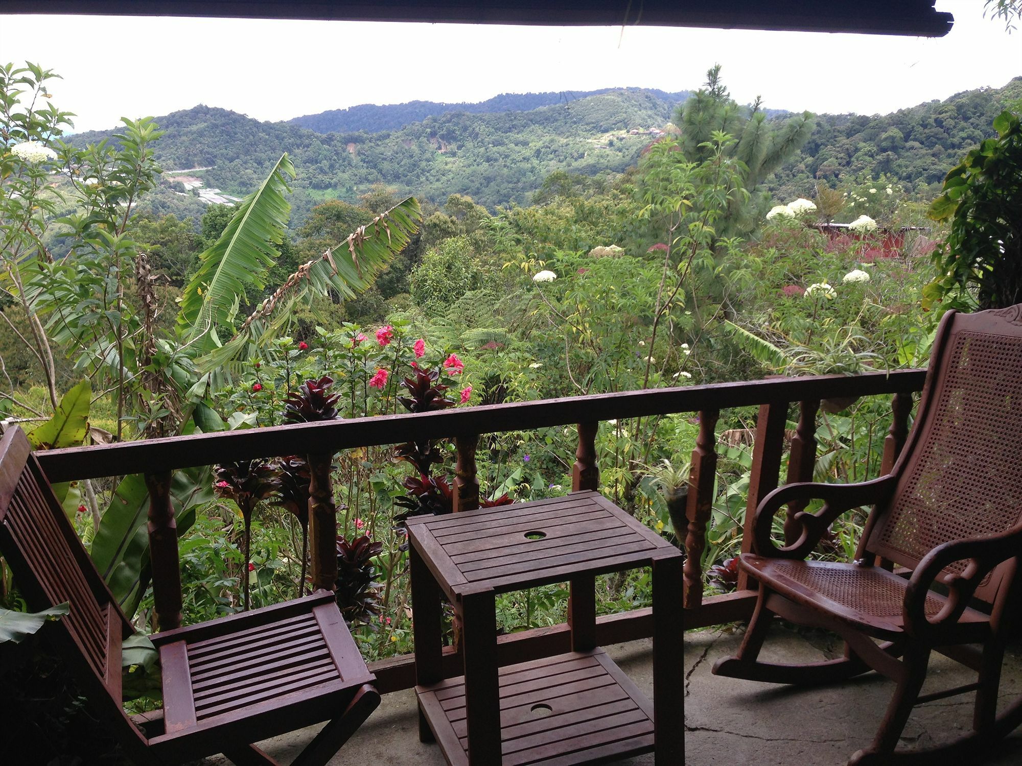 D'Villa Rina Ria Lodge, Kinabalu Park, Kundasang Bundu Tuhan 외부 사진